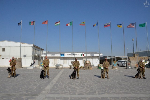 MISSIONE IN AFGHANISTAN: K9 AL LAVORO PER LA SICUREZZA